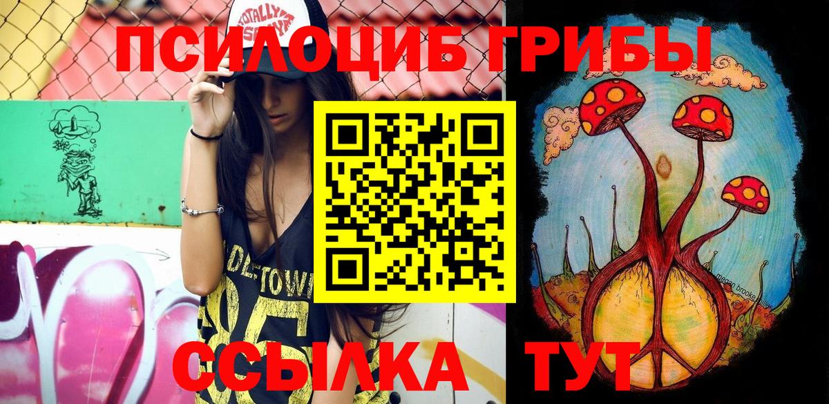 Псилоцибиновые грибы Psilocybine cubensis  Псилоцибиновые грибы Psilocybe  Унеча  где можно купить   Вход с VPN 